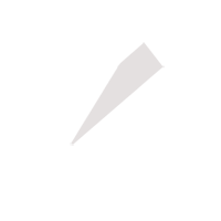 泉州临时保镖服务